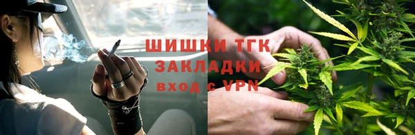 спайс Арсеньев