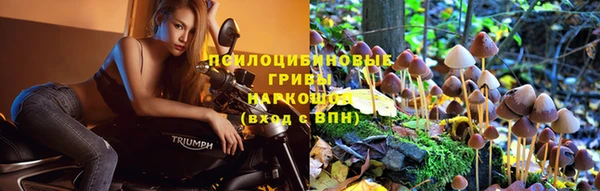 синтетический гашиш Армянск