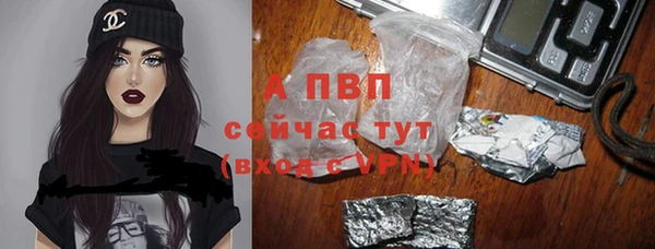 спайс Арсеньев