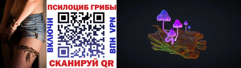 Псилоцибиновые грибы ЛСД  купить  сайты  Терек 