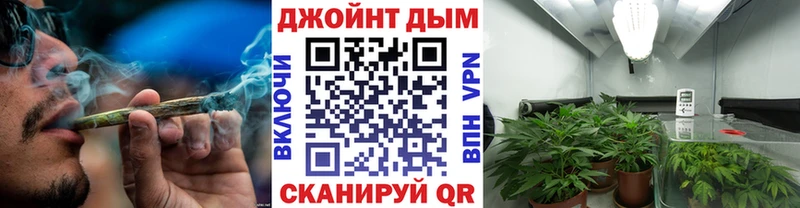 Каннабис сатива  хочу   даркнет наркотические препараты  Терек 